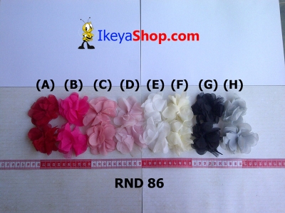 RND 86 A H  large2
